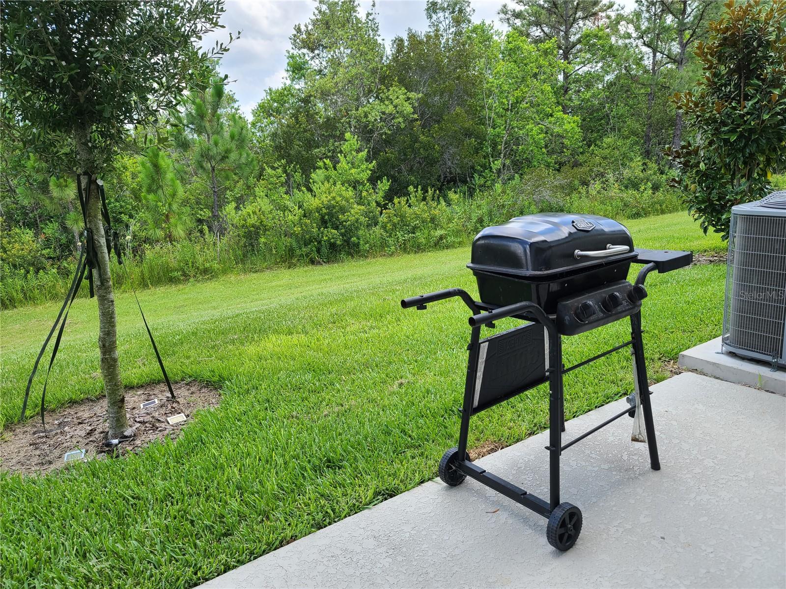 1473 DISCOVERY ST, DAVENPORT, FL, 33896