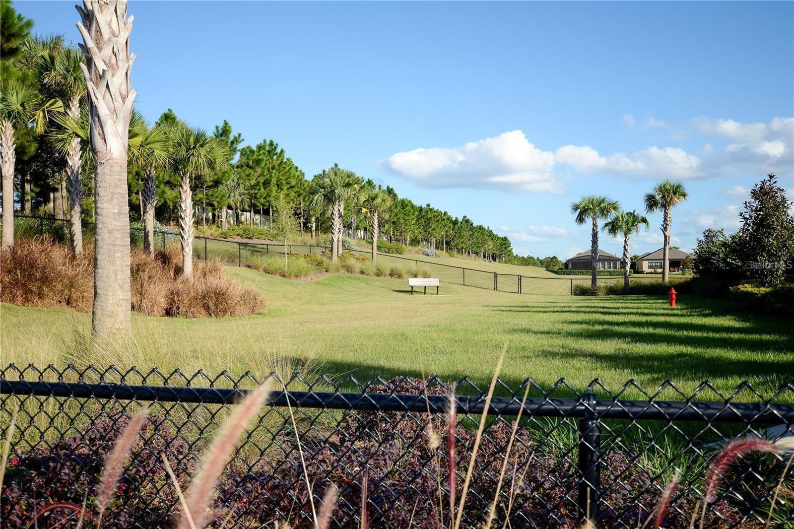 2597 MARIOTTA RDG, CLERMONT, FL, 34715