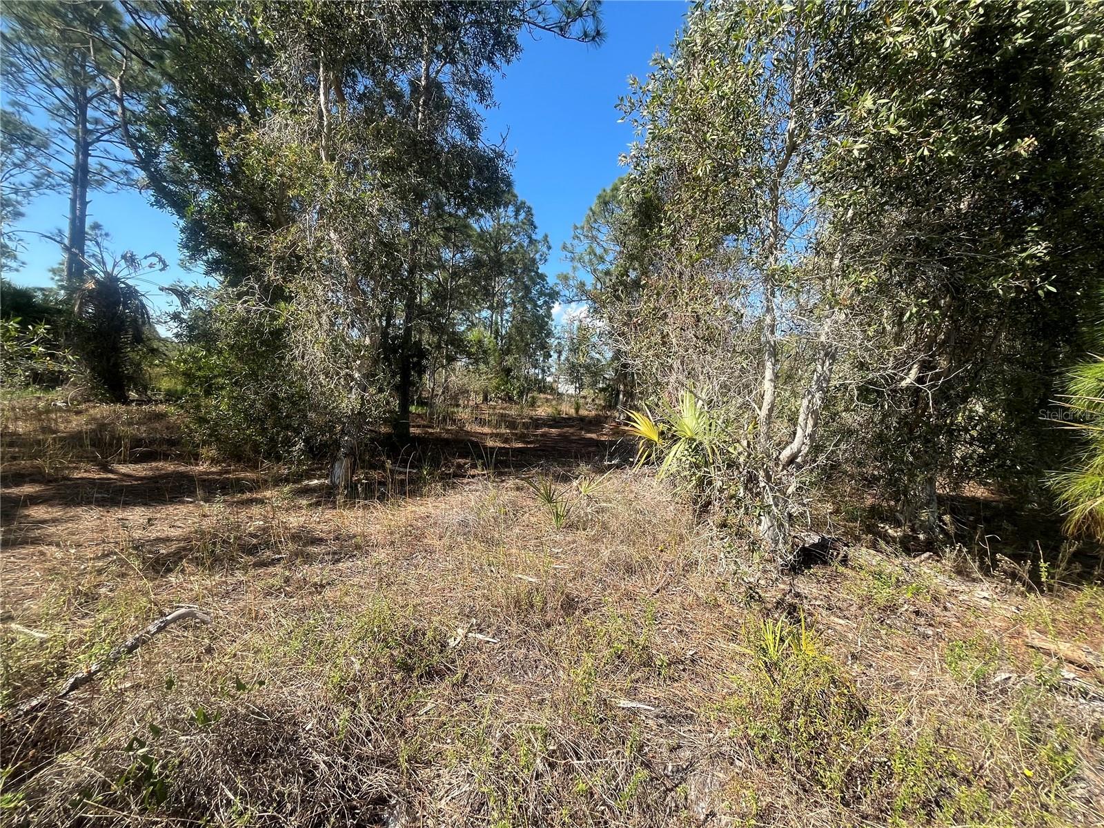 1258 BOWLES AVE, FORT MYERS, FL, 33913