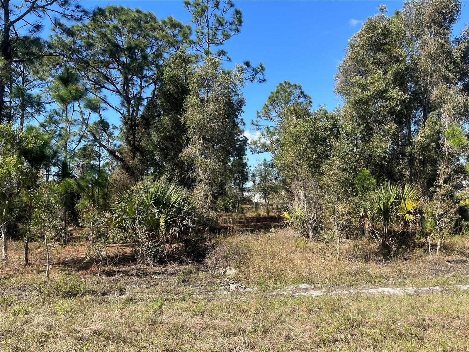1258 BOWLES AVE, FORT MYERS, FL, 33913