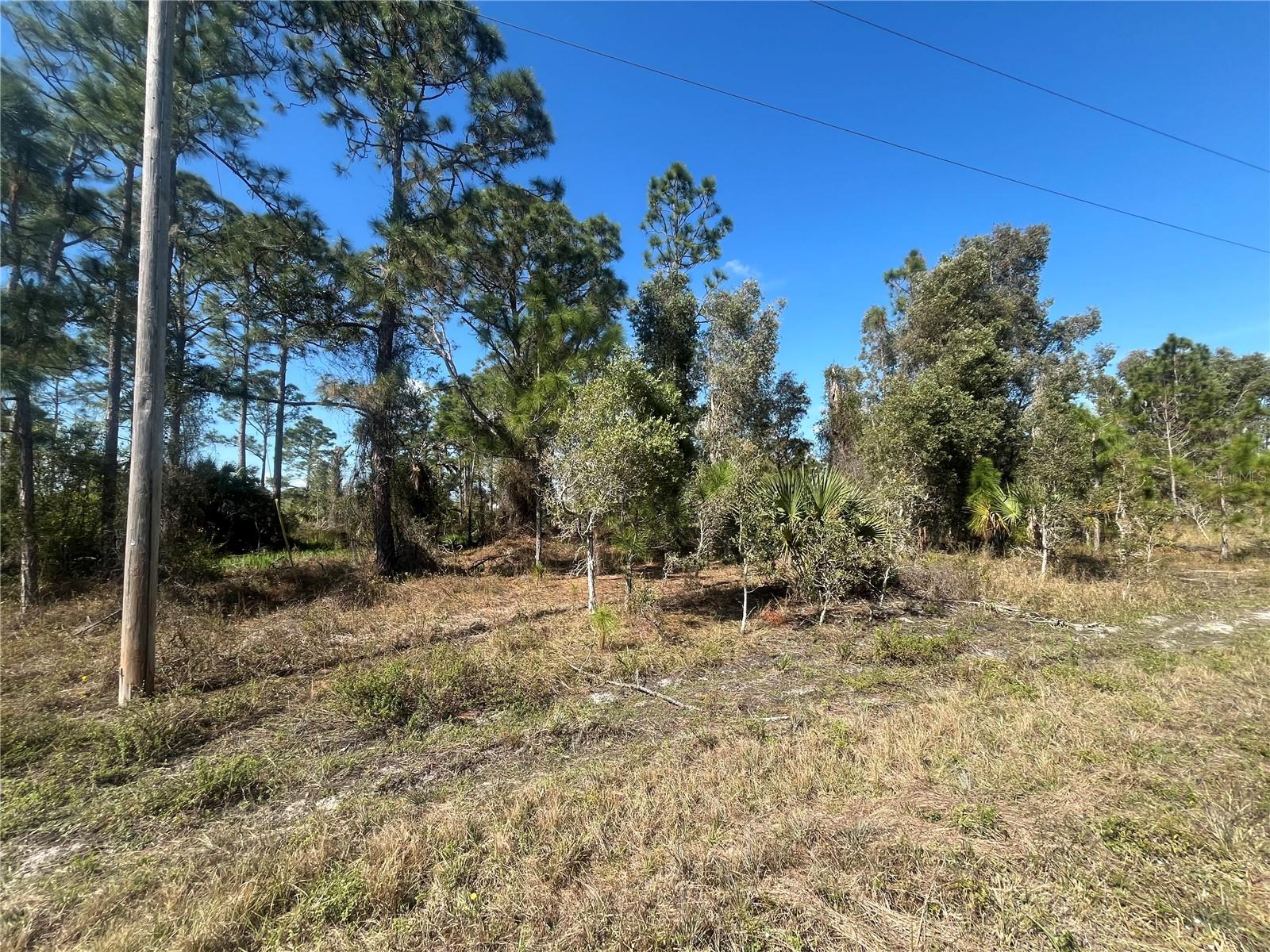 1258 BOWLES AVE, FORT MYERS, FL, 33913