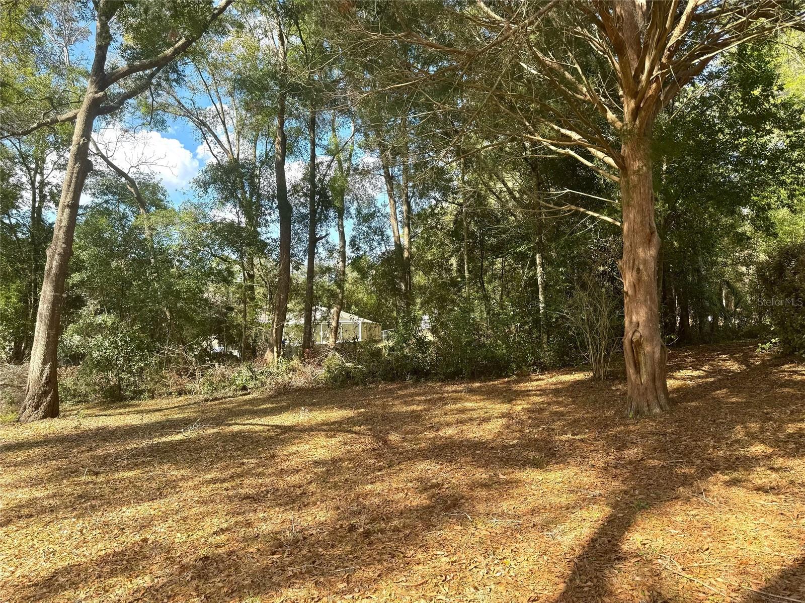 8389 N TITLEIST DR, CITRUS SPRINGS, FL, 34434