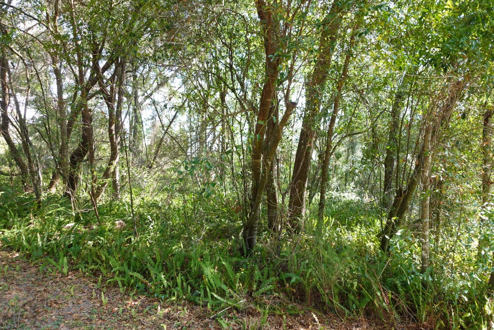 8389 N TITLEIST DR, CITRUS SPRINGS, FL, 34434
