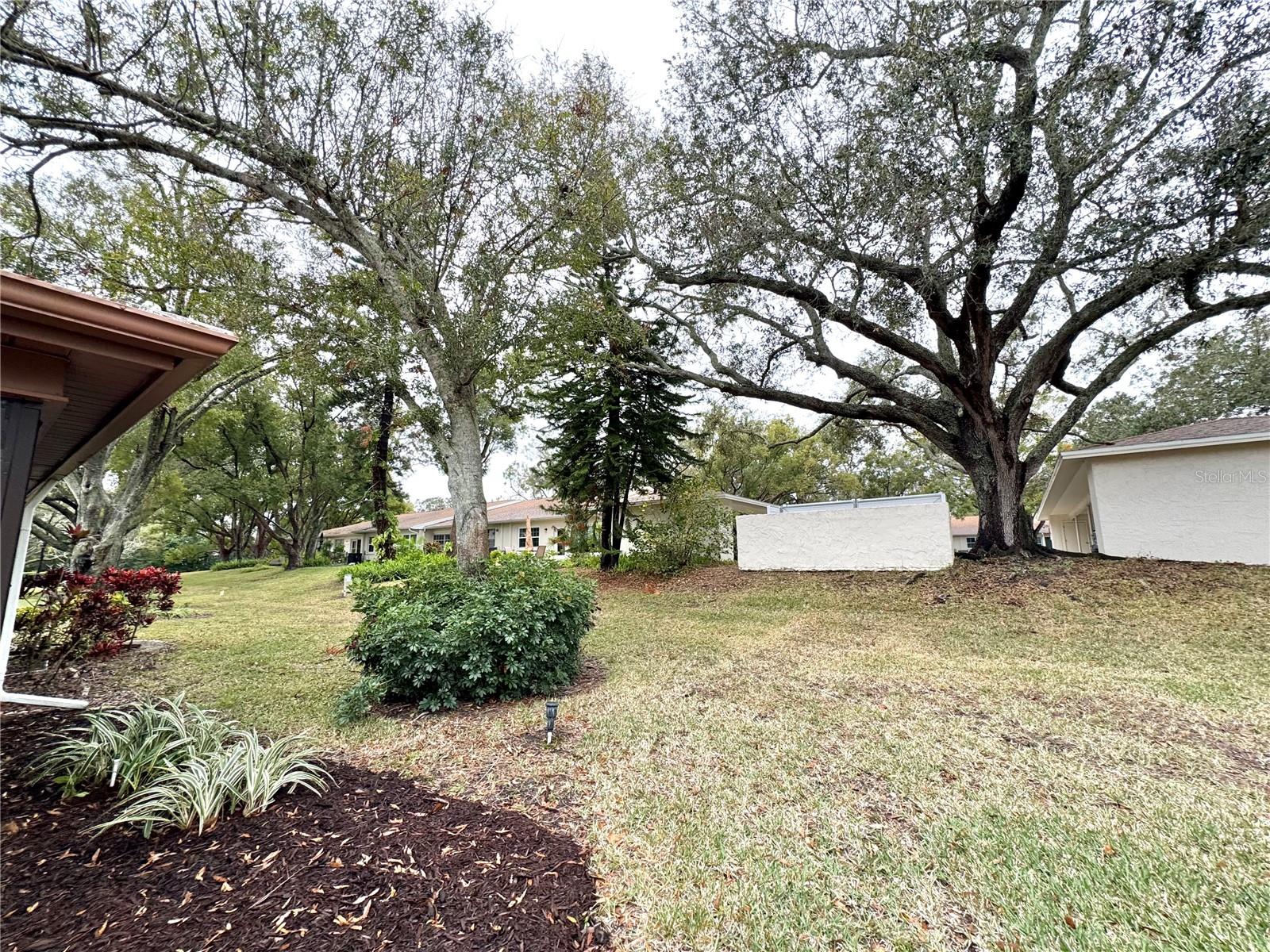 2200 SHELLY DR #C, PALM HARBOR, FL, 34684