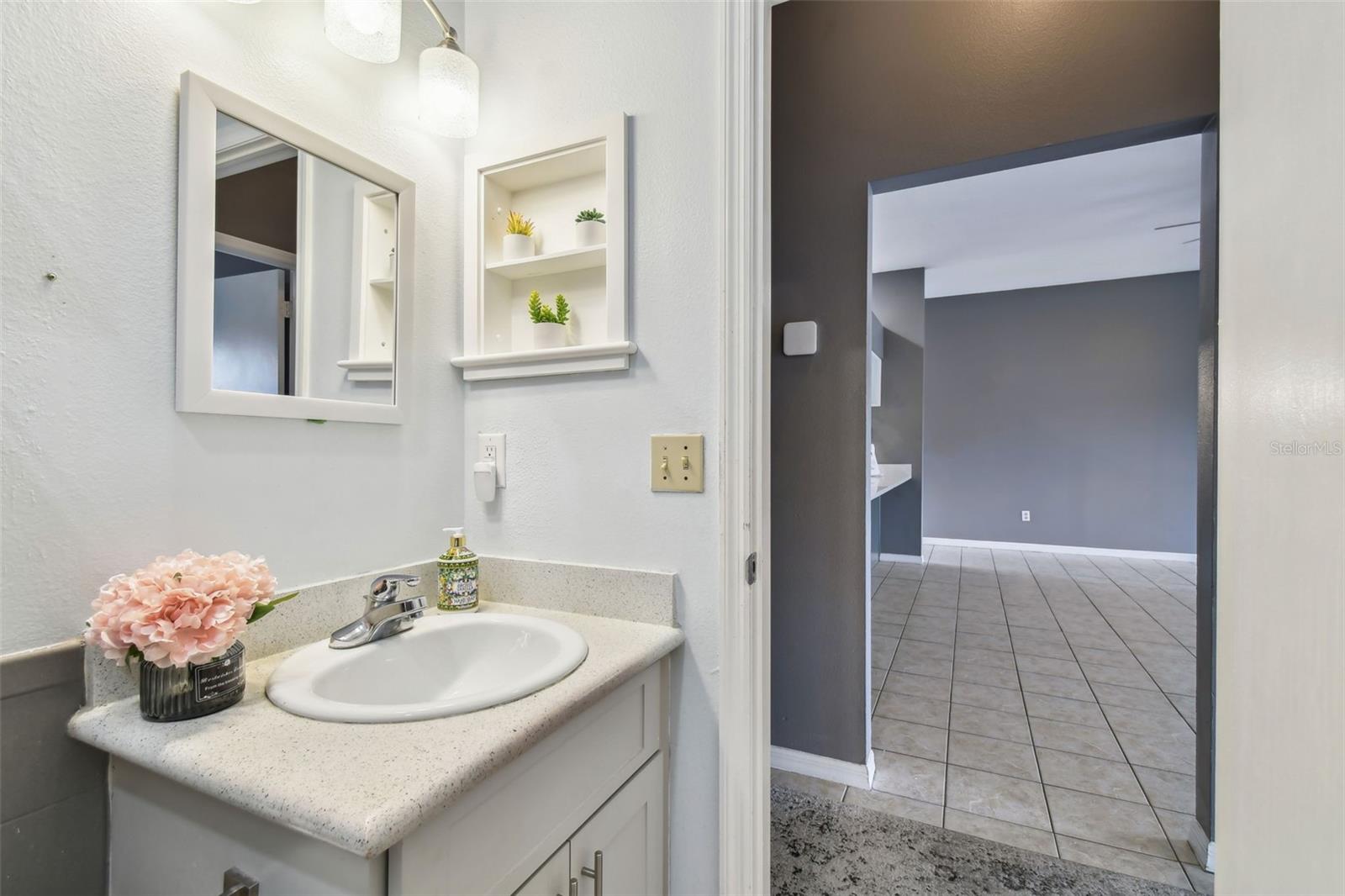 1330 MONTE LAKE DR, VALRICO, FL, 33596