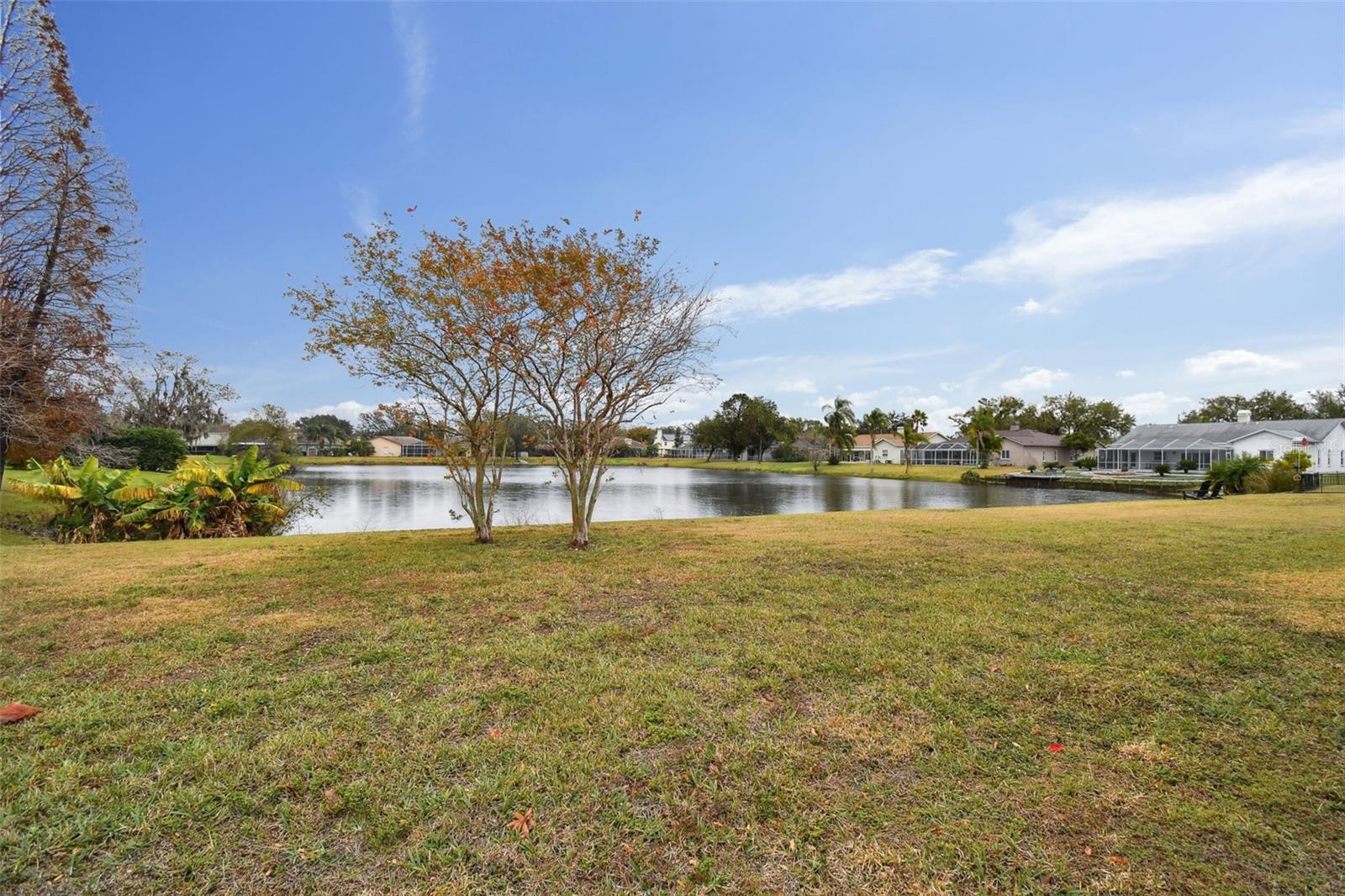 1330 MONTE LAKE DR, VALRICO, FL, 33596
