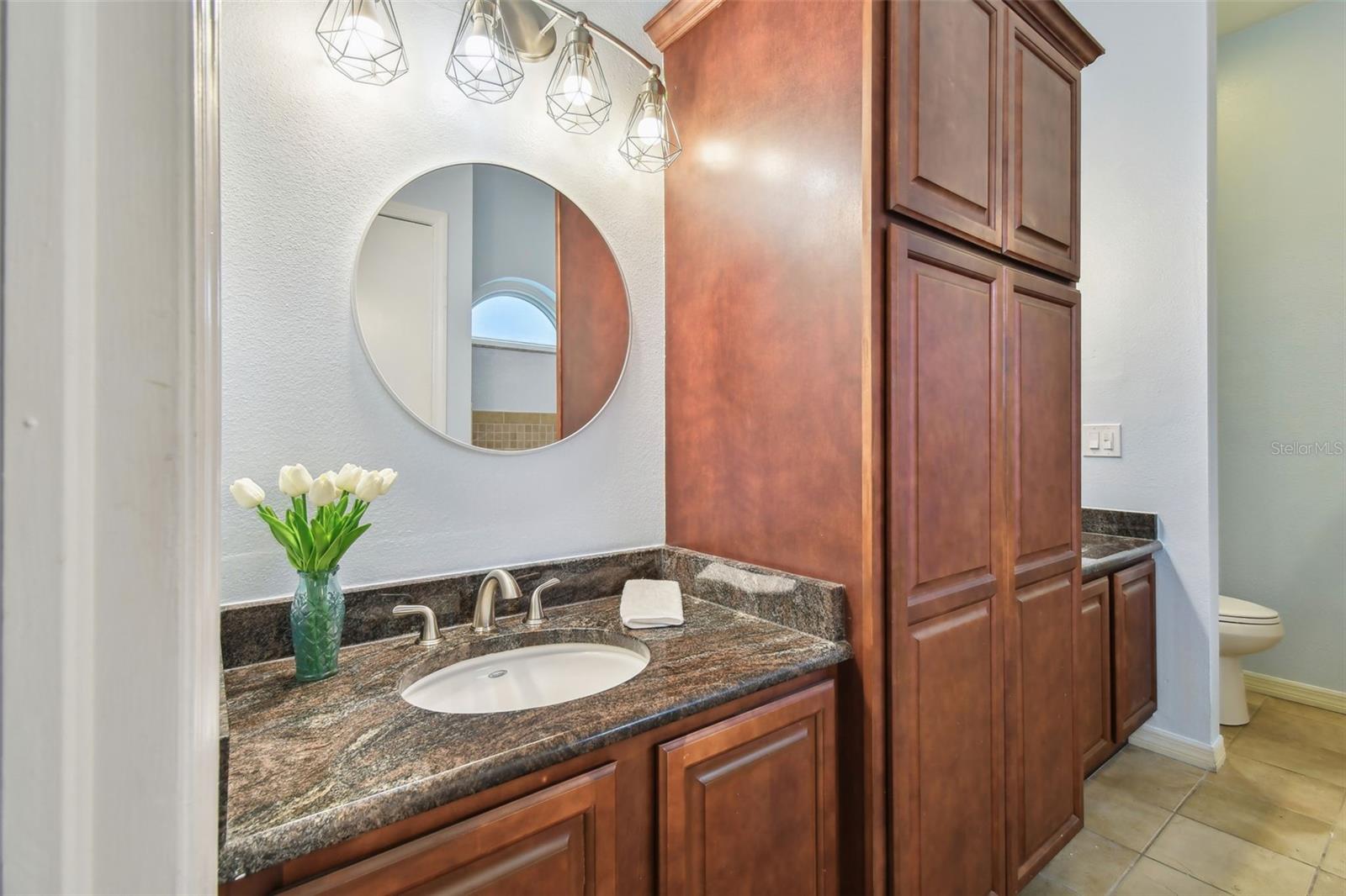 1330 MONTE LAKE DR, VALRICO, FL, 33596