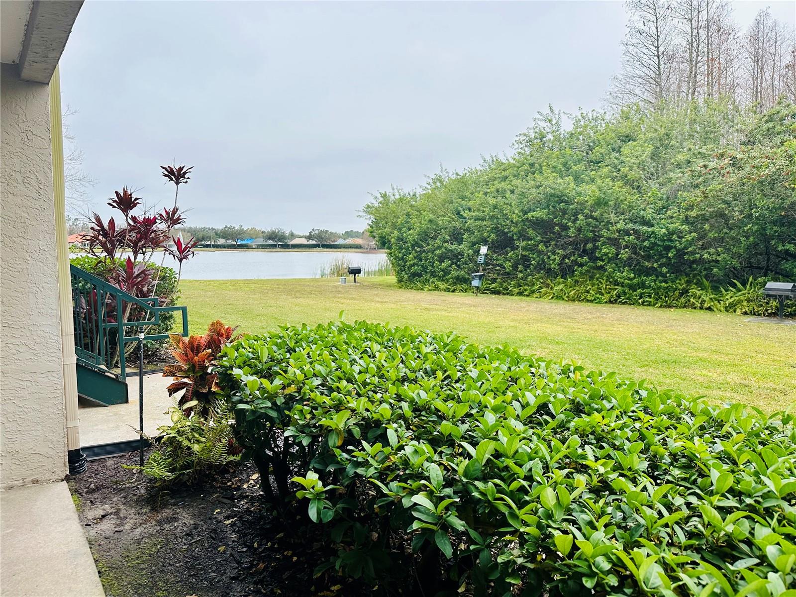 18108 PEREGINES PERCH PL #7109, LUTZ, FL, 33558