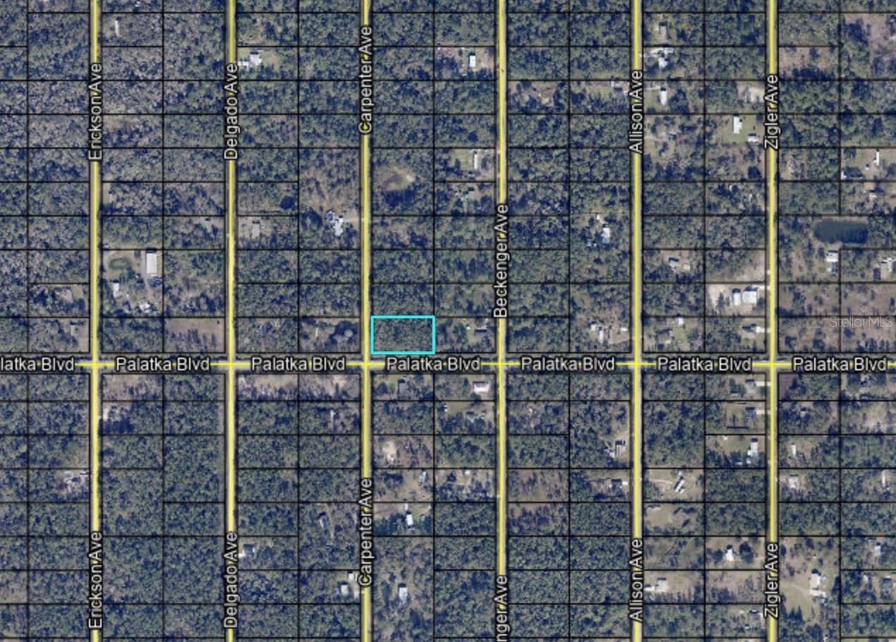 10570 CARPENTER AVE, HASTINGS, FL, 32145