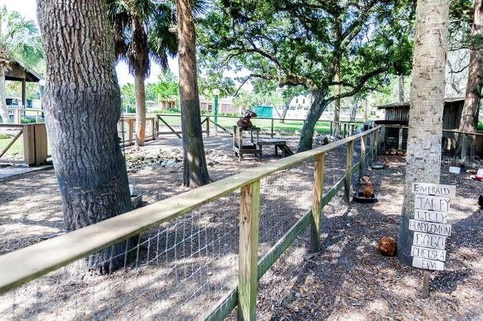 204 VIRGINIA AVE, STEINHATCHEE, FL, 32359