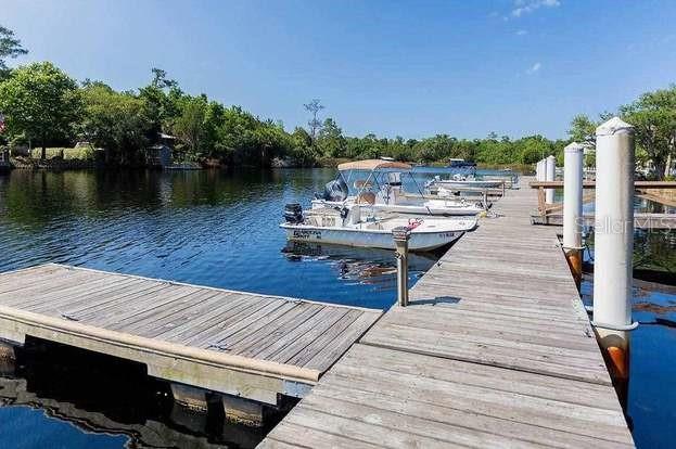 204 VIRGINIA AVE, STEINHATCHEE, FL, 32359