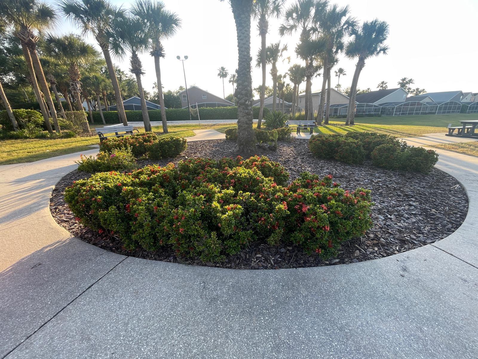 501 CASTLEMAIN CIR, DAVENPORT, FL, 33897