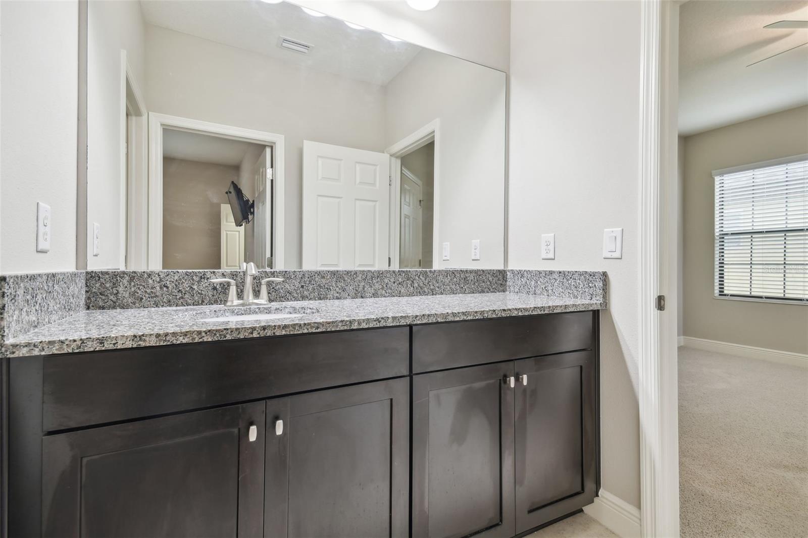 10825 CHARMWOOD DR, RIVERVIEW, FL, 33569