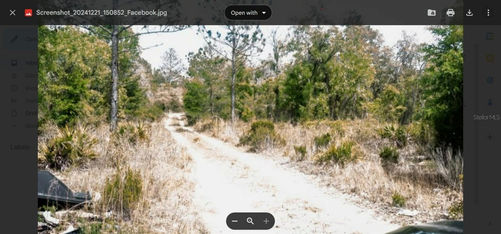00 NE 61ST LN, WILLISTON, FL, 32696