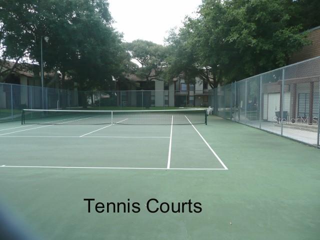 1727 HAMPTON LN #0408, PALM HARBOR, FL, 34683