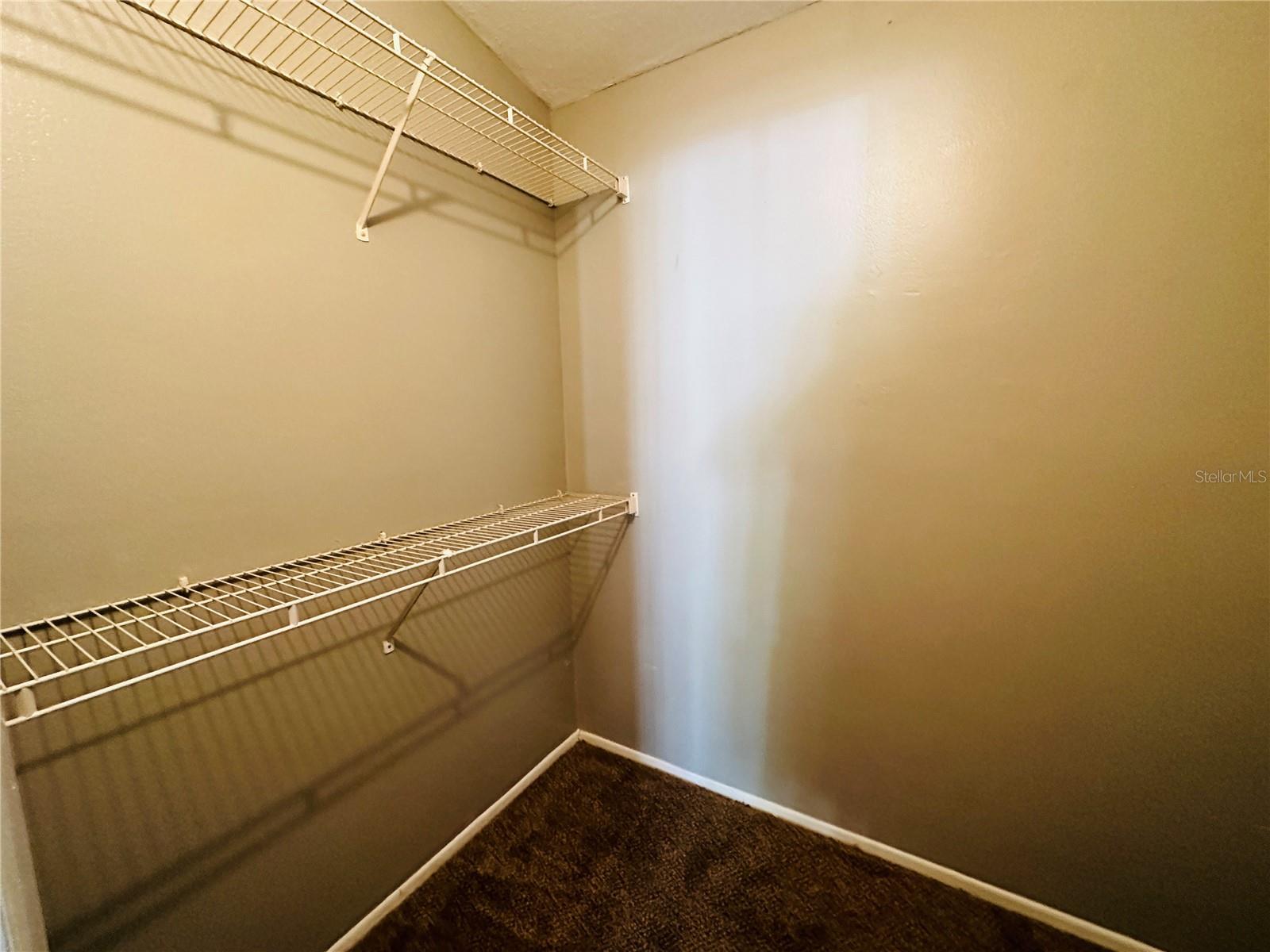 1727 HAMPTON LN #0408, PALM HARBOR, FL, 34683