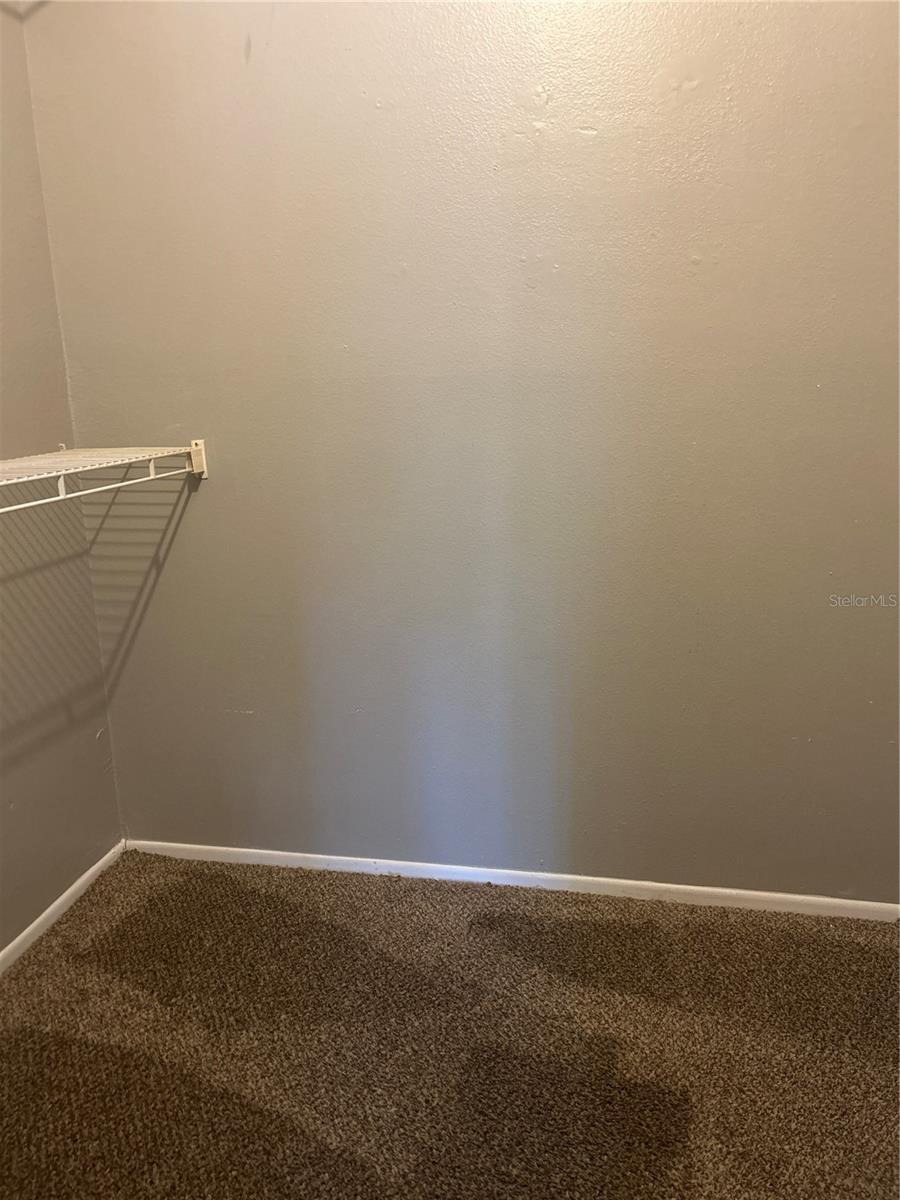 1727 HAMPTON LN #0408, PALM HARBOR, FL, 34683