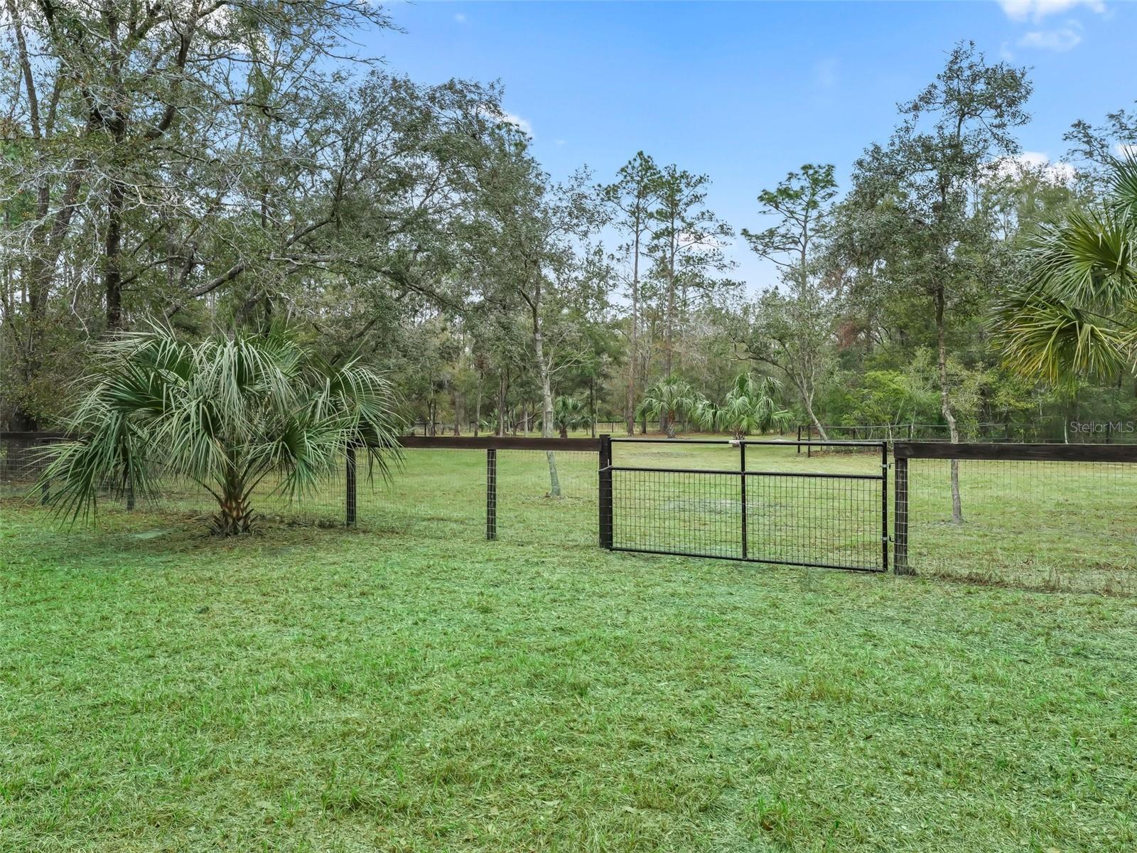 3450 SE 108TH TER, MORRISTON, FL, 32668