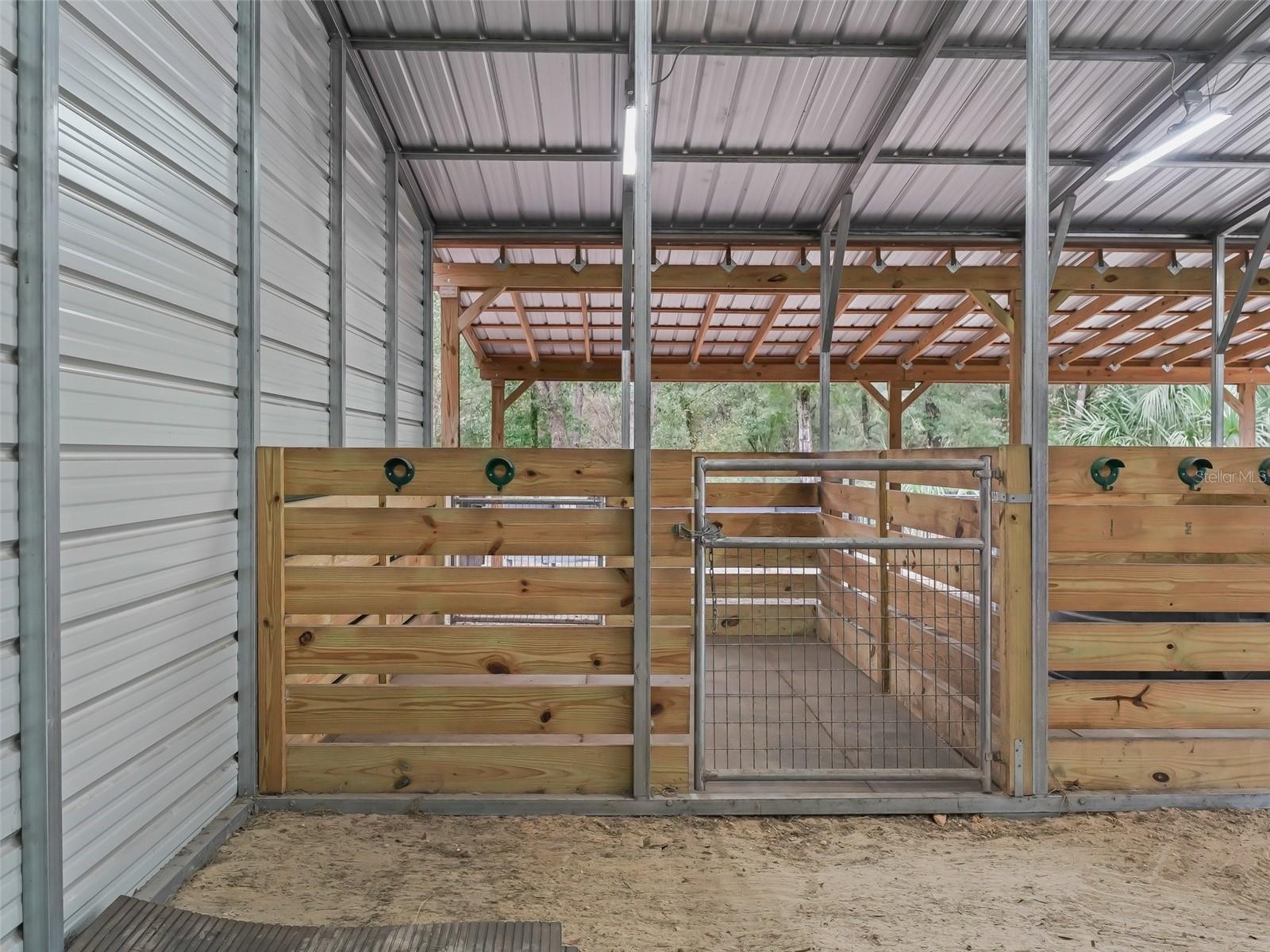 3450 SE 108TH TER, MORRISTON, FL, 32668
