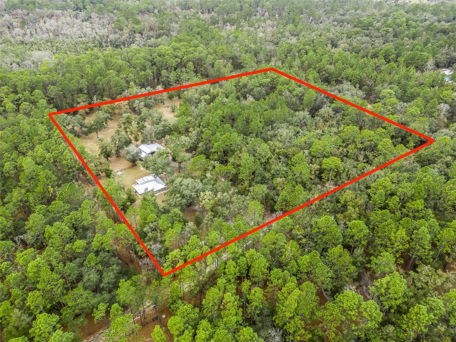3450 SE 108TH TER, MORRISTON, FL, 32668