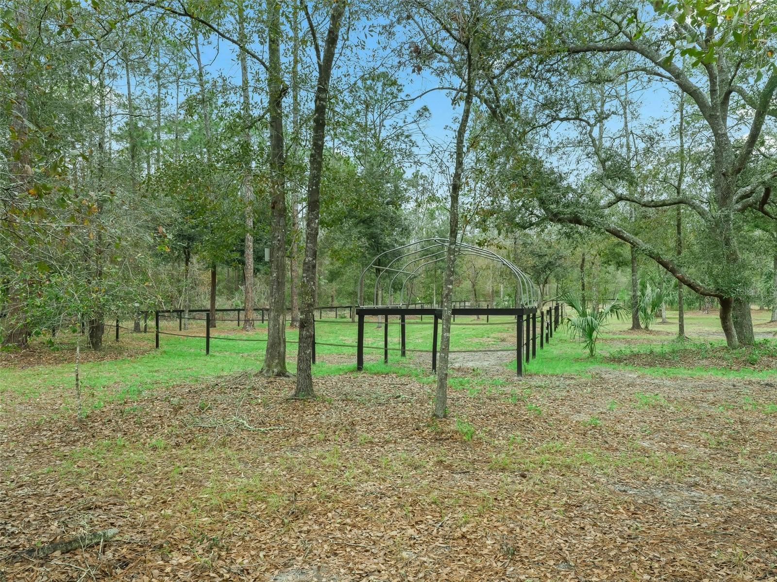 3450 SE 108TH TER, MORRISTON, FL, 32668