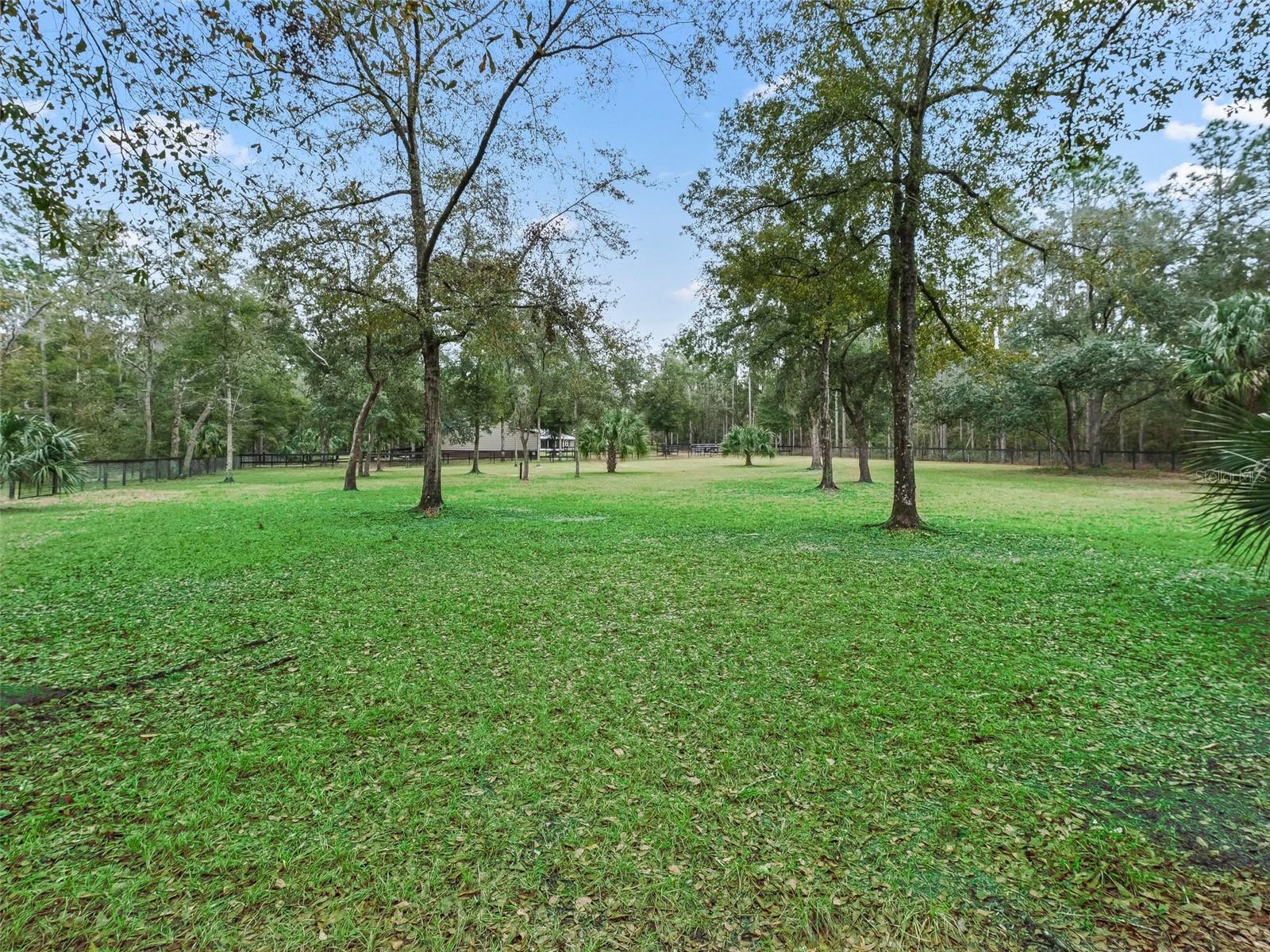 3450 SE 108TH TER, MORRISTON, FL, 32668