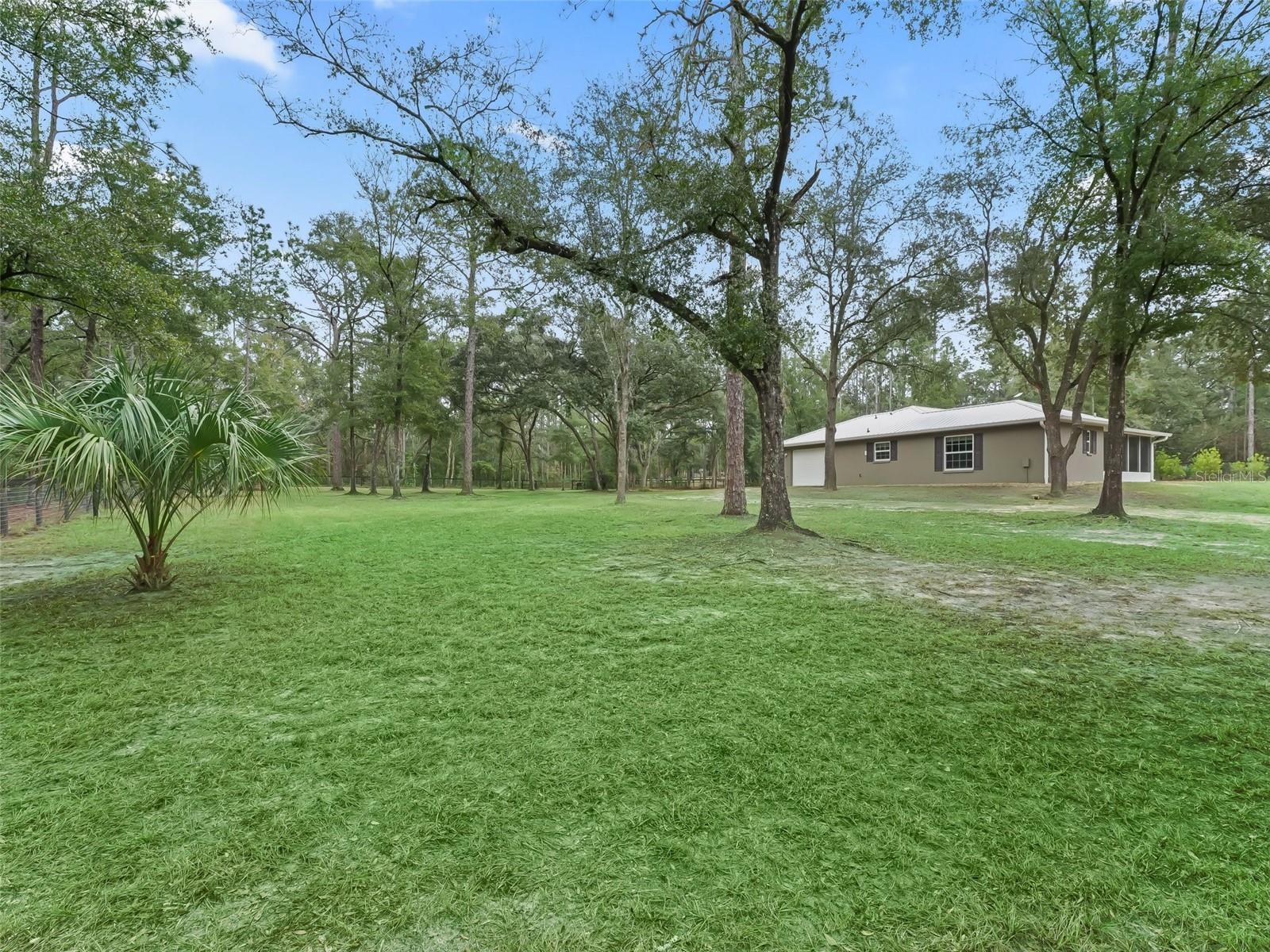 3450 SE 108TH TER, MORRISTON, FL, 32668