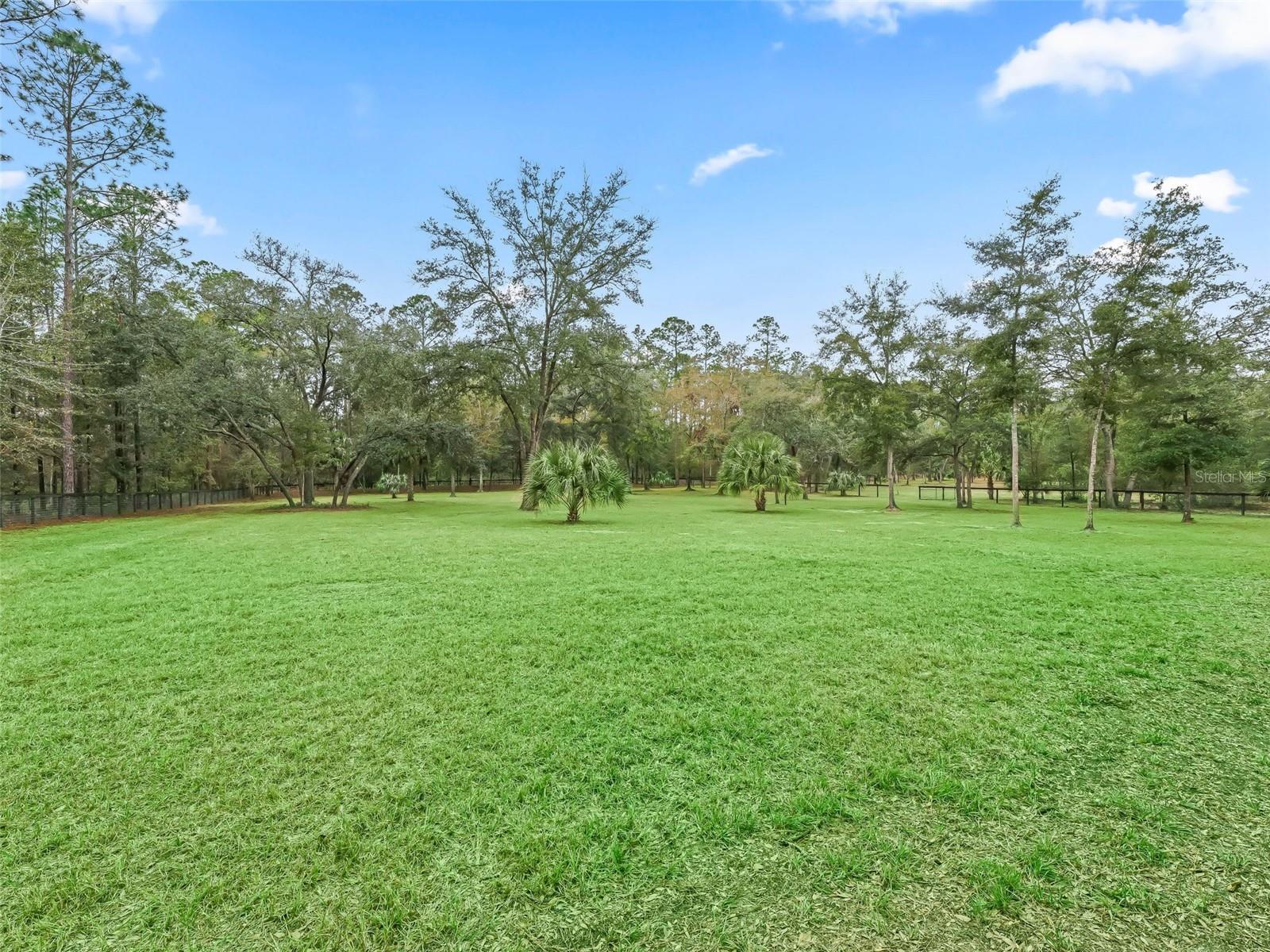 3450 SE 108TH TER, MORRISTON, FL, 32668