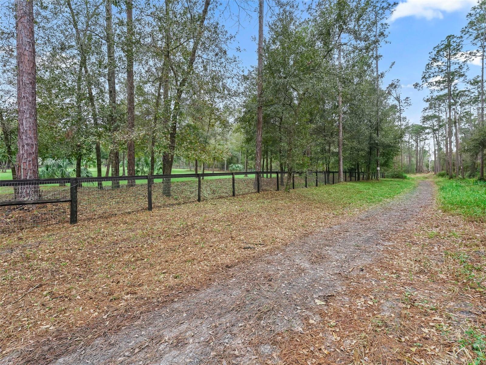 3450 SE 108TH TER, MORRISTON, FL, 32668