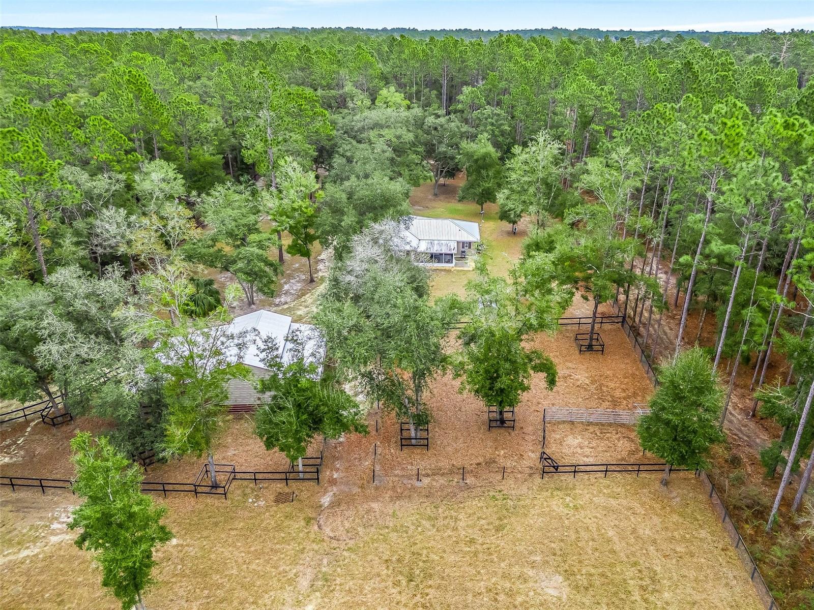3450 SE 108TH TER, MORRISTON, FL, 32668