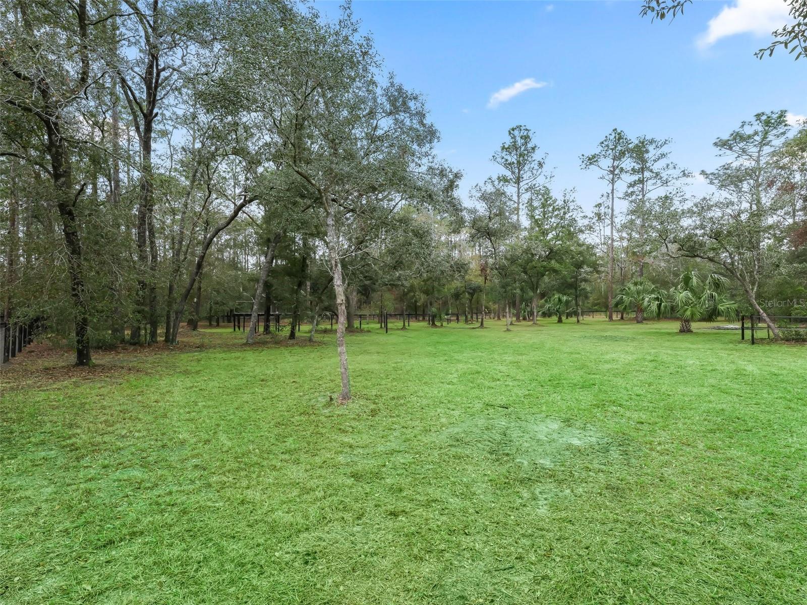 3450 SE 108TH TER, MORRISTON, FL, 32668