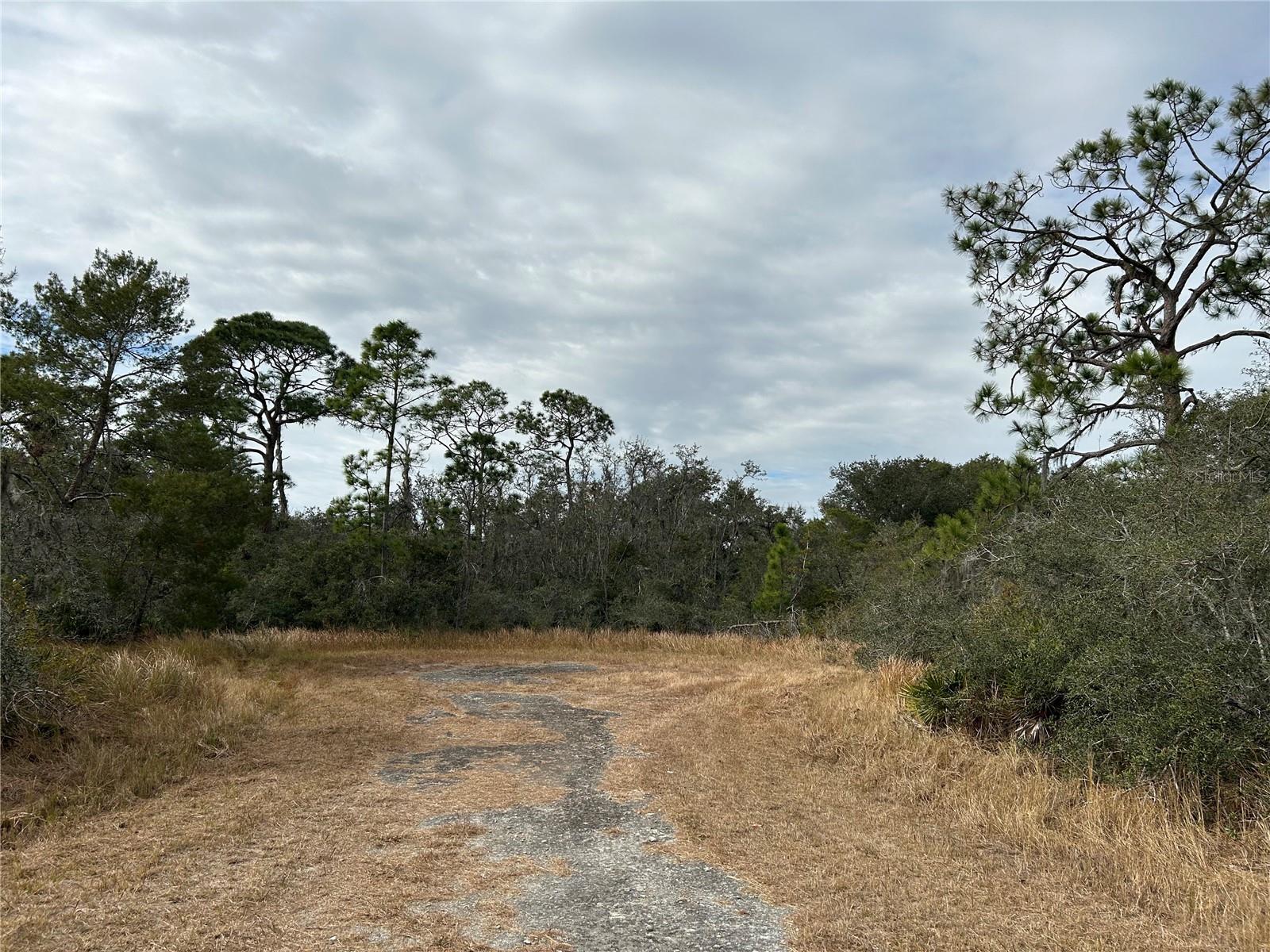838 ROLLINS ST, LAKE PLACID, FL, 33852