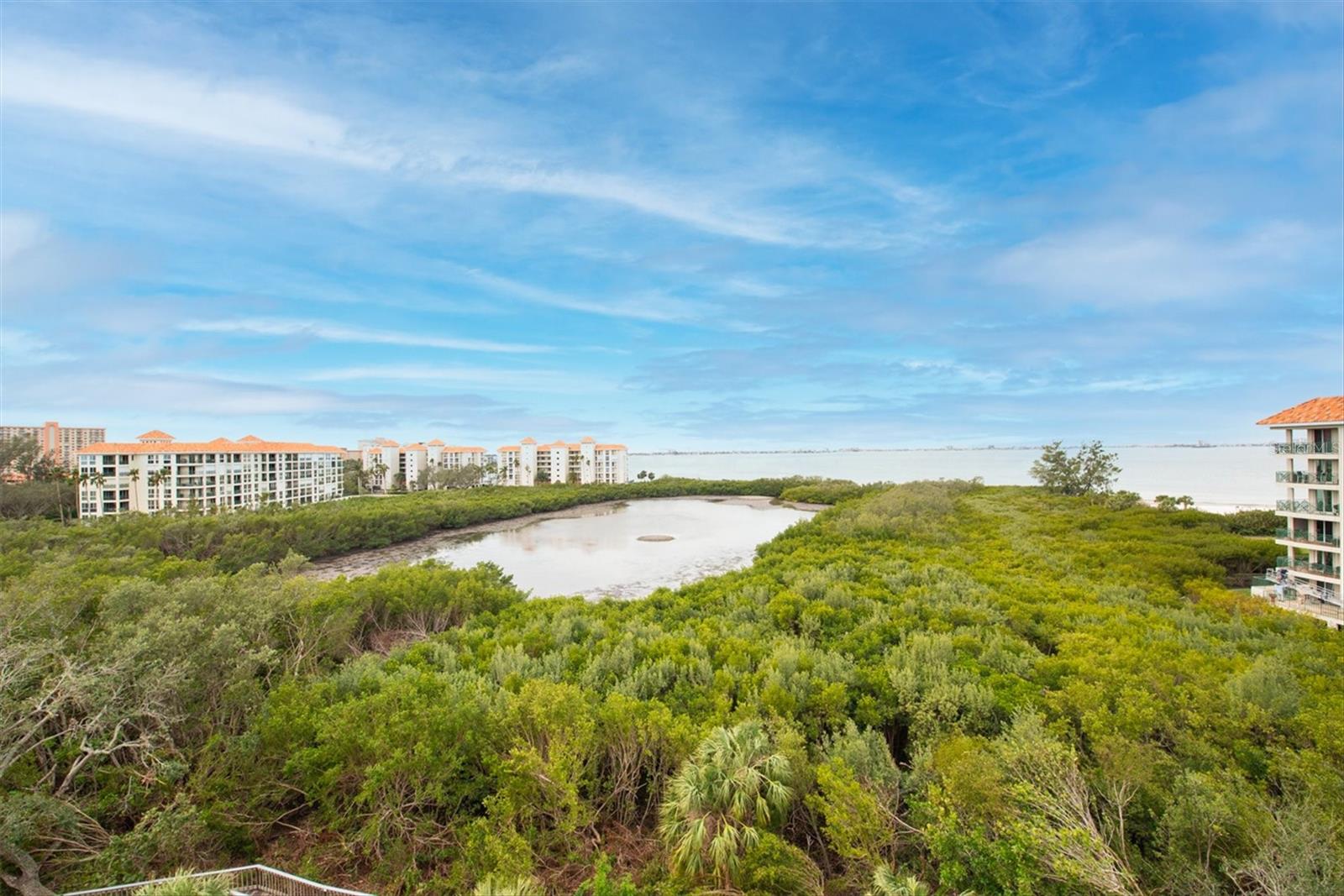 4750 DOLPHIN CAY LN S #604, ST PETERSBURG, FL, 33711
