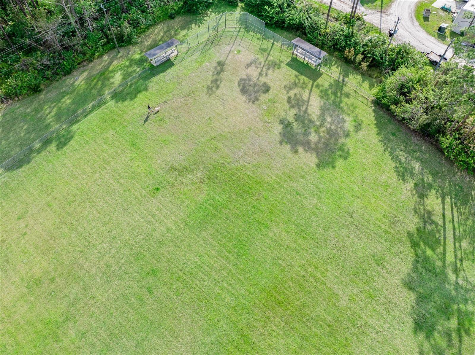 36 BLACK PINE WAY, ORMOND BEACH, FL, 32174