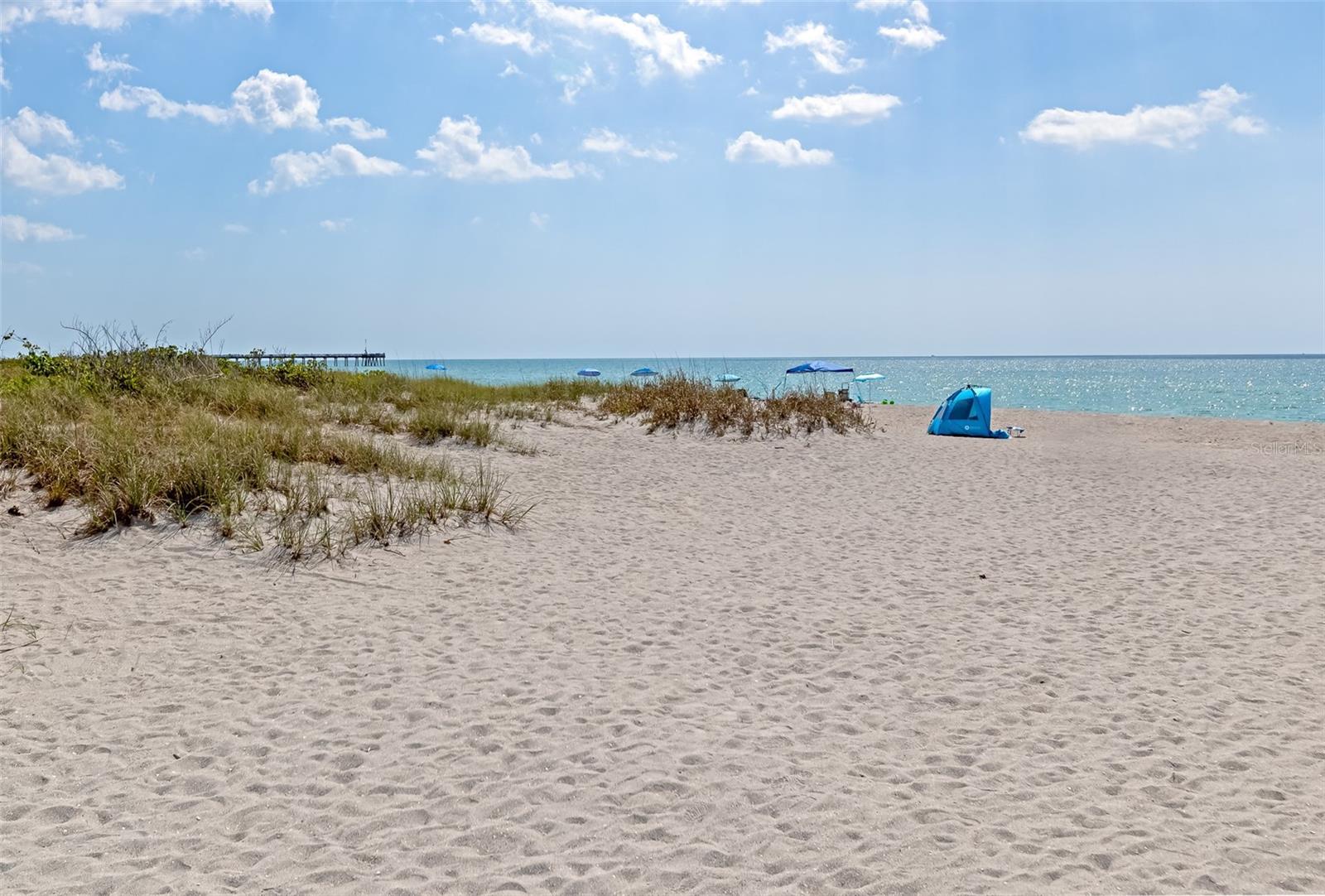 1423 AVENIDA DEL CIRCO #1C, VENICE, FL, 34285