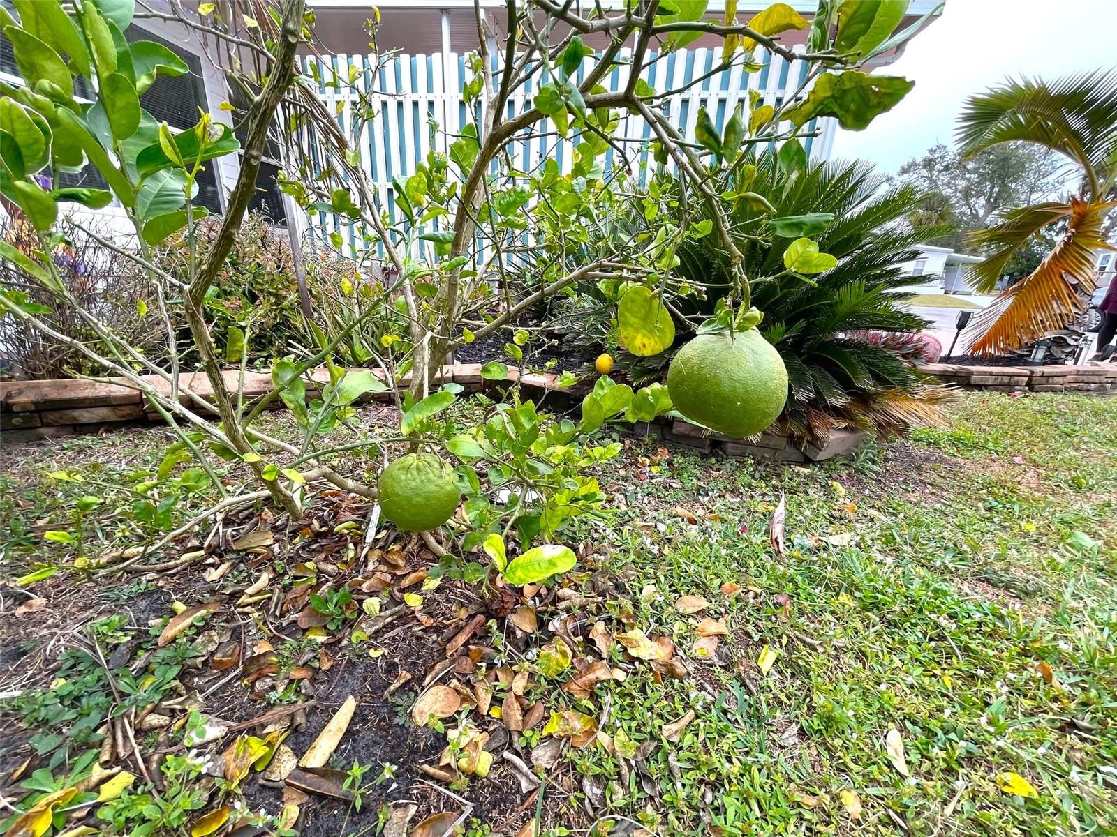 6642 ACACIA CT, NORTH PORT, FL, 34287