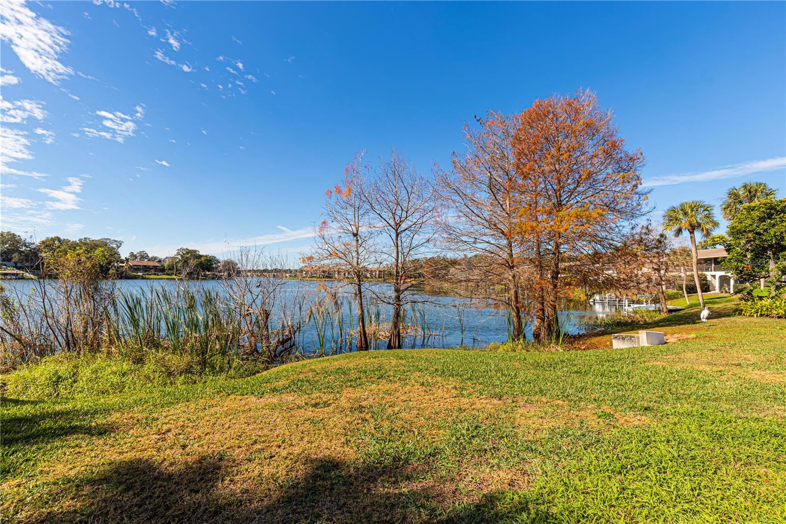 200 MAITLAND AVE #86, ALTAMONTE SPRINGS, FL, 32701