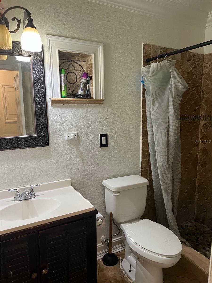 1008 WESTSIDE DR, TAMPA, FL, 33619