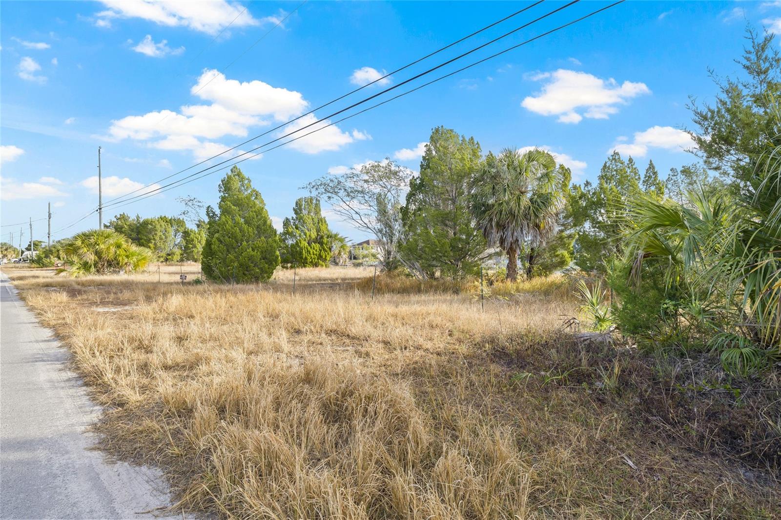 AZALEA DR, HERNANDO BEACH, FL, 34607