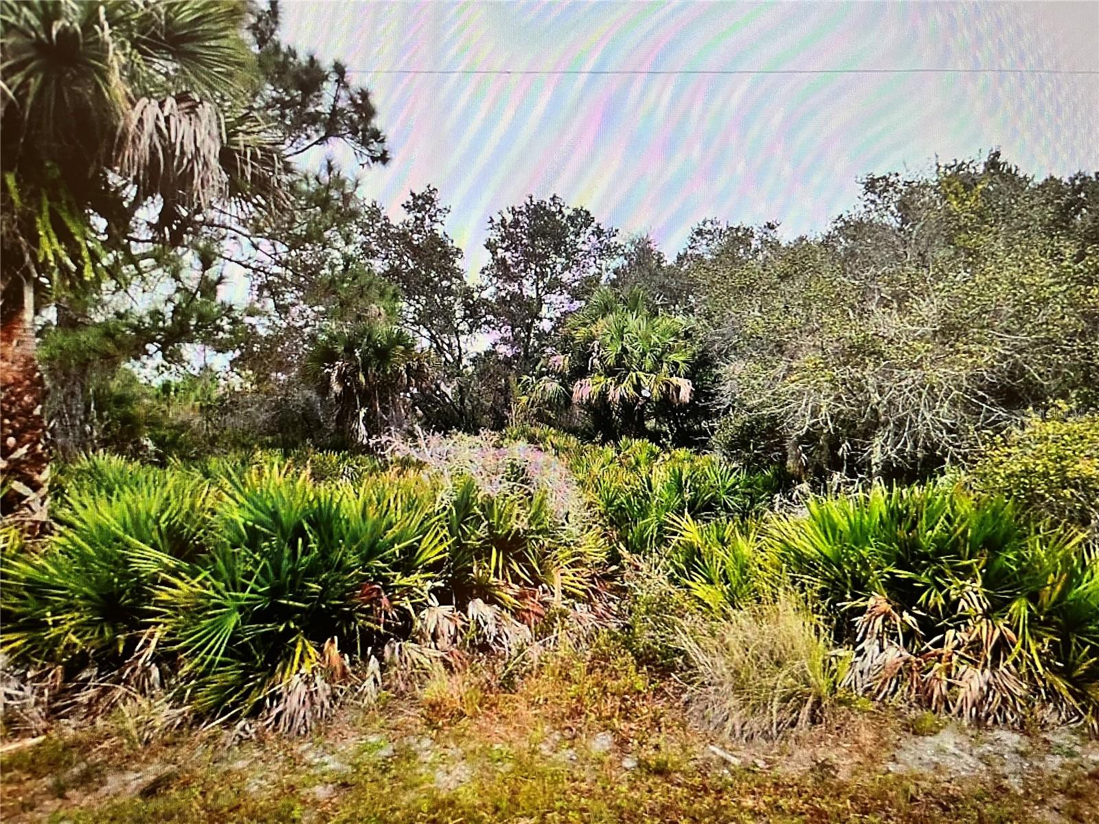 LOTS 5 & 6 DE MIRANDA AVE, NORTH PORT, FL, 34287