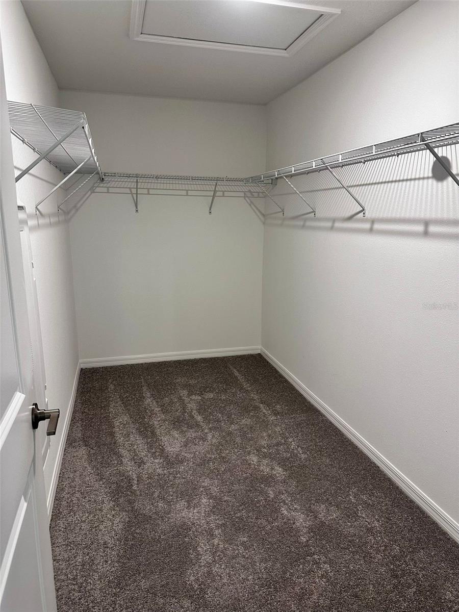 10024 TRUMPET HONEYSUCKLE WAY, SAN ANTONIO, FL, 33576