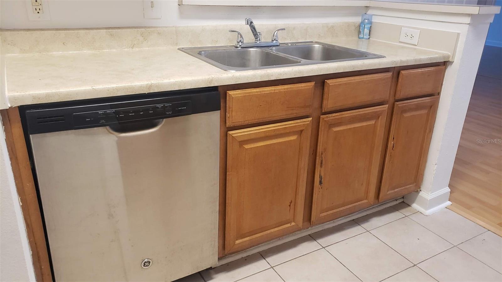18477 BRIDLE CLUB DR #18477, TAMPA, FL, 33647