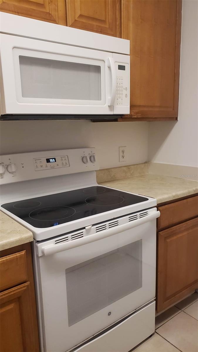 18477 BRIDLE CLUB DR #18477, TAMPA, FL, 33647