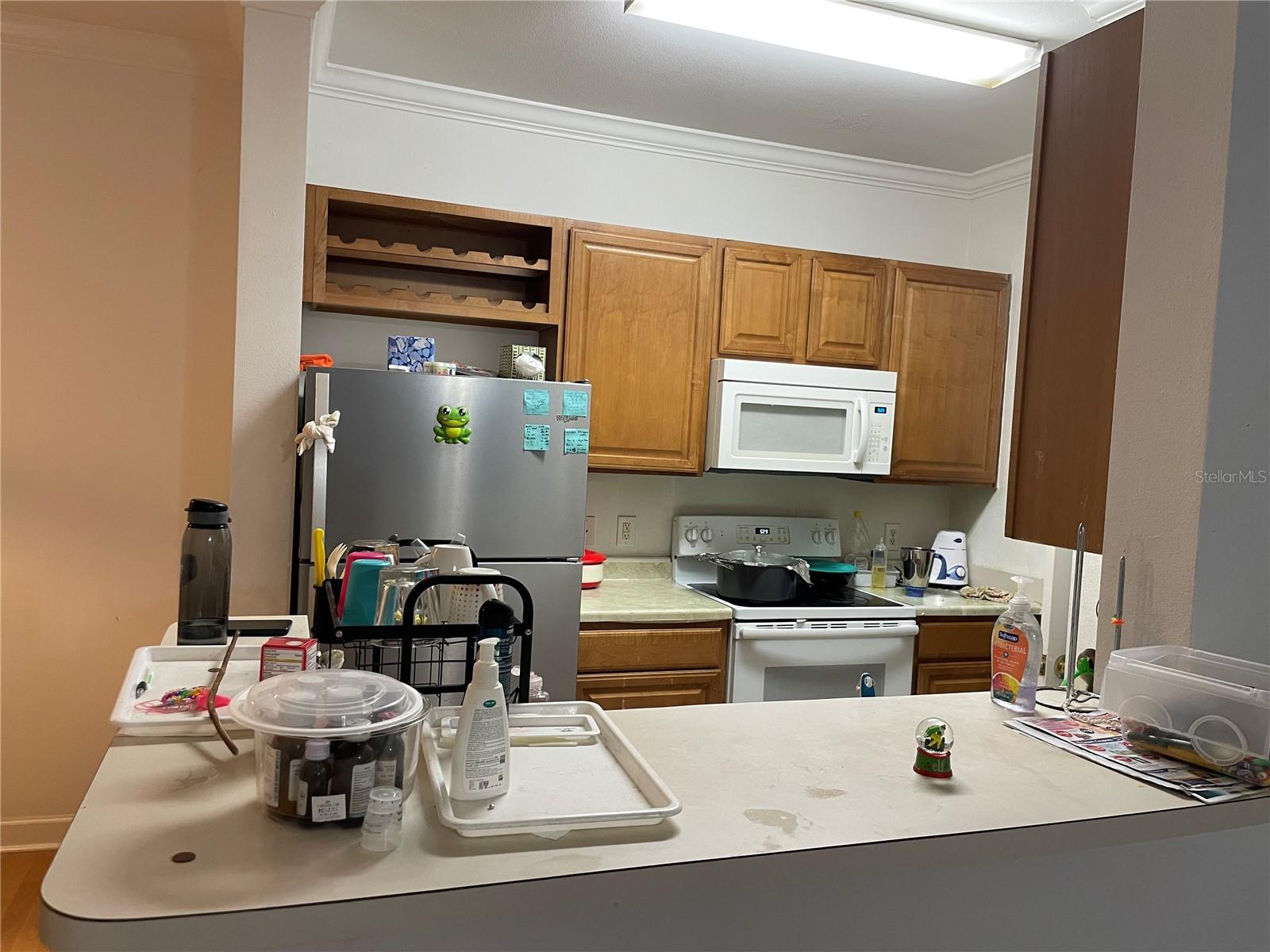 18477 BRIDLE CLUB DR #18477, TAMPA, FL, 33647