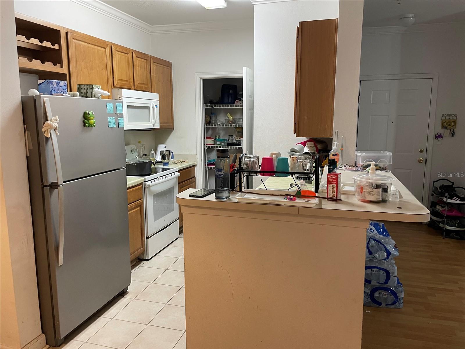 18477 BRIDLE CLUB DR #18477, TAMPA, FL, 33647