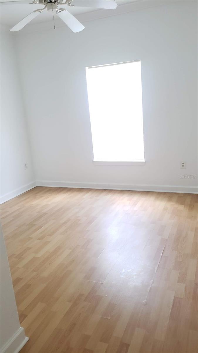 18477 BRIDLE CLUB DR #18477, TAMPA, FL, 33647