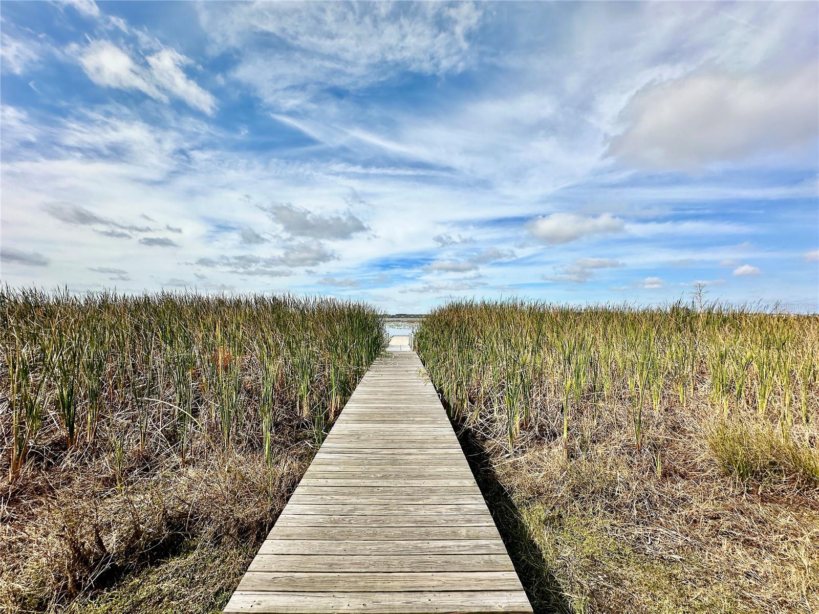 8333 HARDY BAY LOOP, WESLEY CHAPEL, FL, 33545