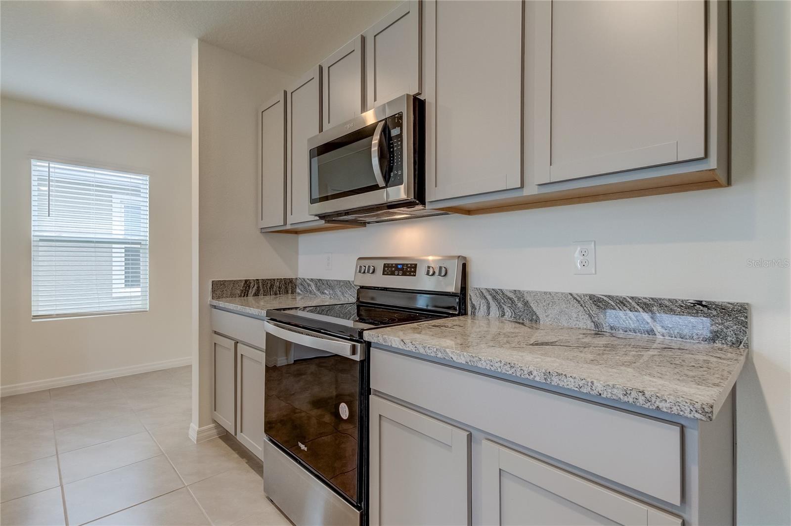 8333 HARDY BAY LOOP, WESLEY CHAPEL, FL, 33545