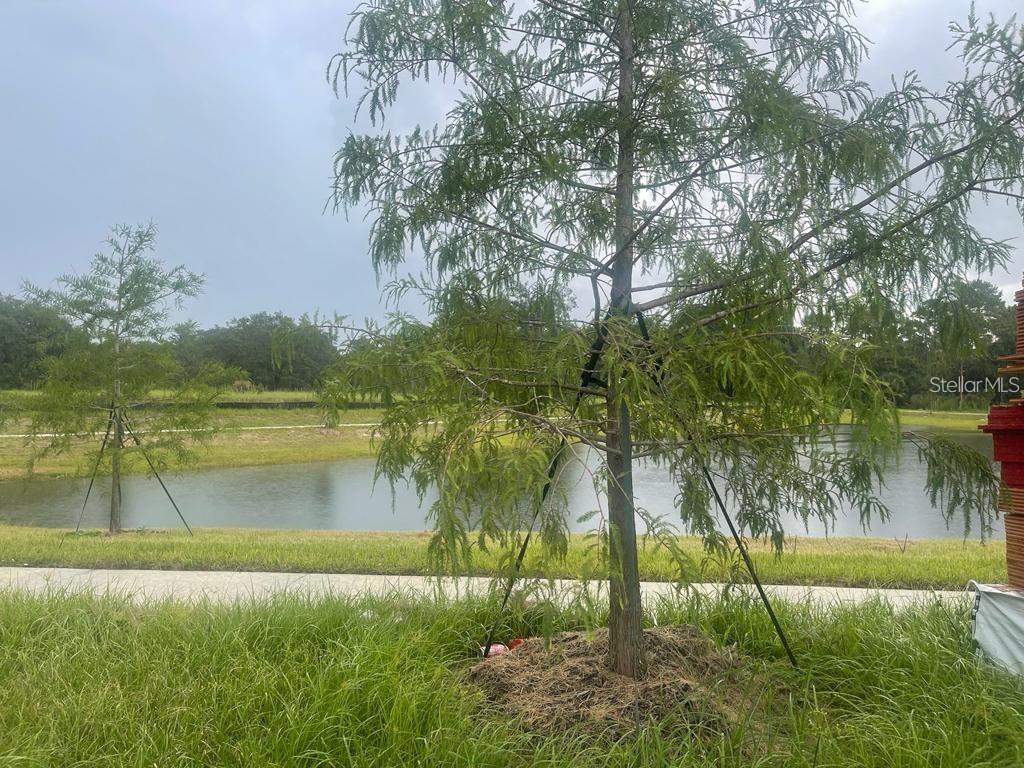 7640 STONE CREEK TRL #7640, KISSIMMEE, FL, 34747