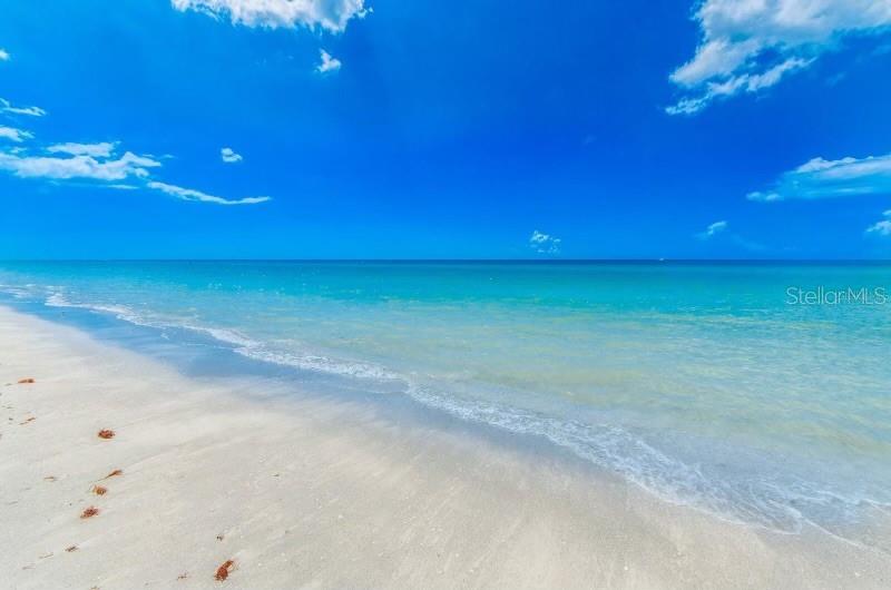 1270 GULF BLVD #304, CLEARWATER, FL, 33767